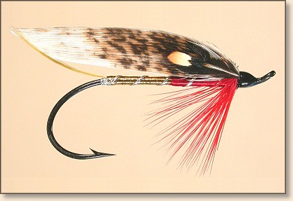Finished fly