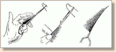 Folding Hackle per TE Pryce-Tannatt