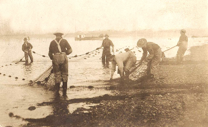 Net fishing on the Columbia R. ca 1904